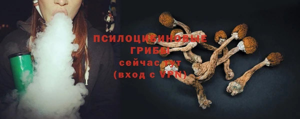 ПСИЛОЦИБИНОВЫЕ ГРИБЫ Алексин