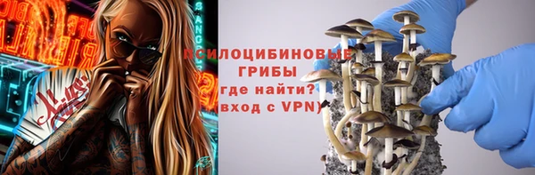 a pvp Алексеевка