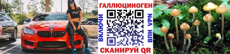 цены наркотик  Йошкар-Ола  Псилоцибиновые грибы MAGIC MUSHROOMS 