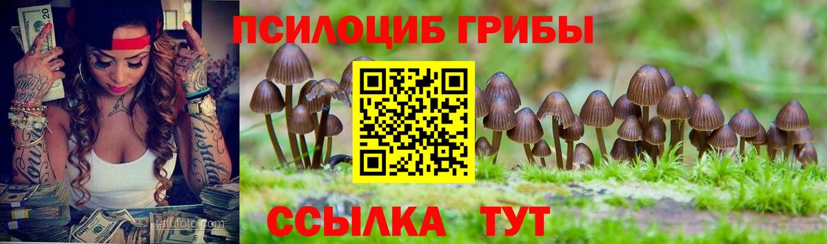 МЕФ Йошкар-Ола